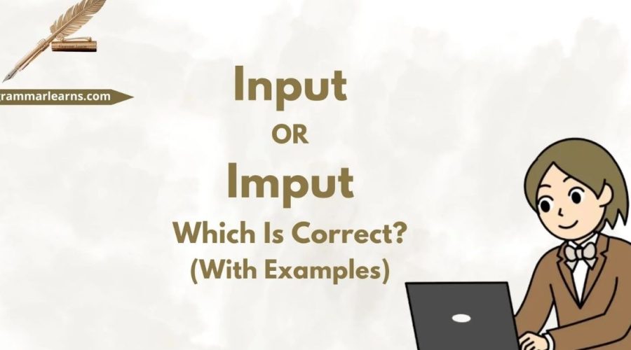 Input or Imput