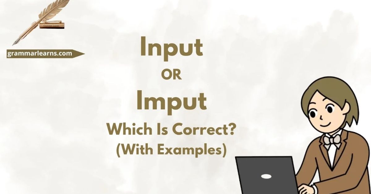 Input or Imput